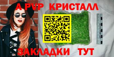 гашик Будённовск