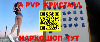 гашик Будённовск