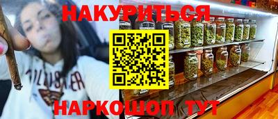 гашик Будённовск