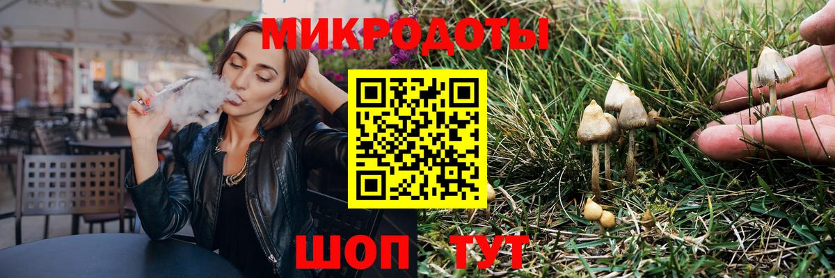 Псилоцибиновые грибы мицелий Апшеронск