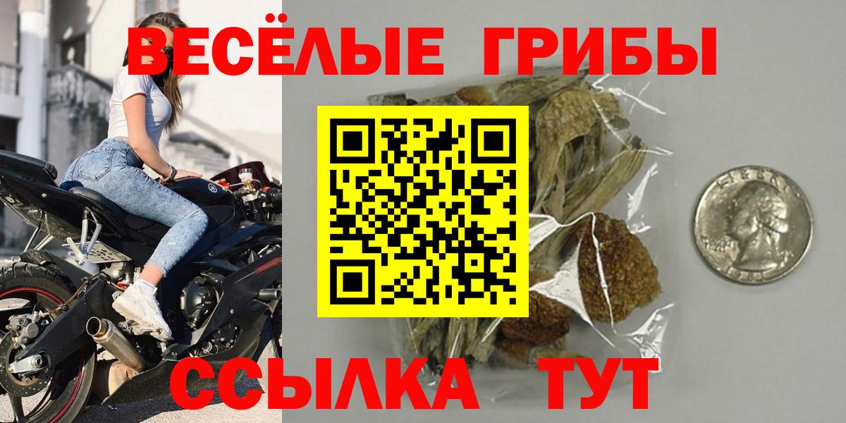 Псилоцибиновые грибы GOLDEN TEACHER  где можно купить   Вход с VPN  Апшеронск  Псилоцибиновые грибы MAGIC MUSHROOMS 
